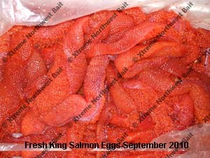 Fresh Salmon Egg, Fresh Salmon Roe, Xtreme Northwest Bait Co